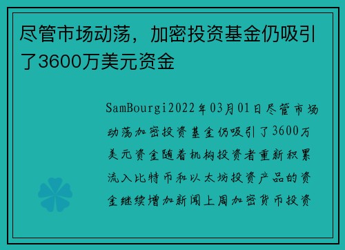 尽管市场动荡，加密投资基金仍吸引了3600万美元资金 